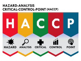 haccp