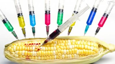 genetically-modified-organisms-food-market-400x225-1